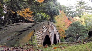 Sfondi desktop paesaggi HD -  ponte nella foresta