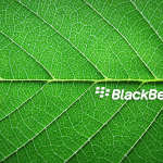 Sfondi HD Blackberry - foglia