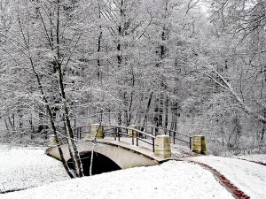 Sfondi desktop HD Natale 2013 - foresta innevata