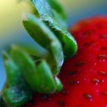 Sfondi HD frutta per desktop - fragola