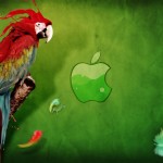 HD parrot and apple for mac wallpaper