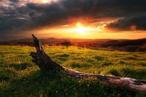 Sfondi HD natura prateria al tramonto