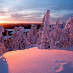 Sfondo neve e tramonto