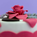 Cake design torta